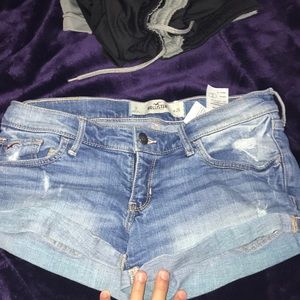 hollister shorts